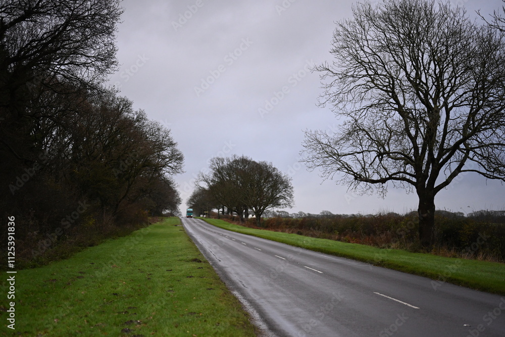 Fototapeta premium road or highway flowing into the distance
