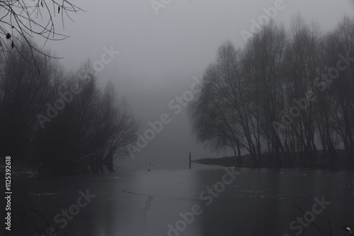 Fantastic fog, Surreal foggy morning in the woods, dark spooky nature, gloomy river, winter landscape 