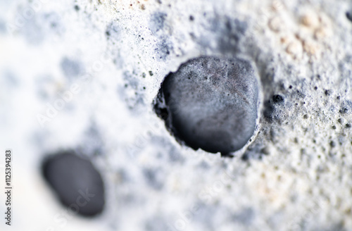 Close up of Textured Light and Dark Gray Texture that Looks Like Moon Surface photo