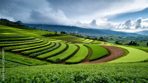 Fertile farmland filled with alternating rows of crops, a colorful patchwork