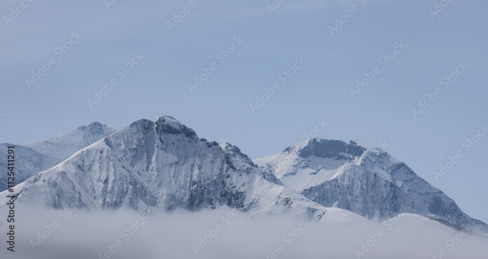 Obraz premium Bergpanorama im Morgennebel, pinzgau