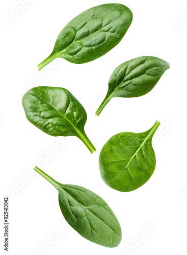 Five fresh spinach leaves falling against a transparent background, perfect for healthy food and vegan concepts