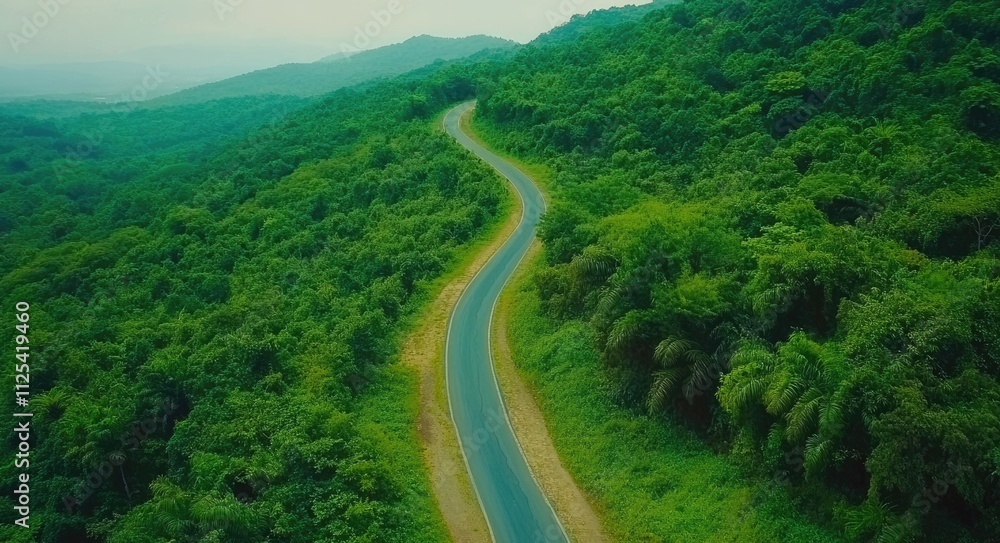 Aerial Perspective of an Asphalt Road Winding Through Lush Tropical Jungle - An Invitation to Adventure and Exploration Aerial Perspective of an Asphalt Road Winding Through Lush Tropical Jungle - An Invitation to Adventure and Exploration