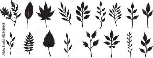 Minimal feminine botanical floral branch in silhouette style Hand drawn wedding herb, minimalistic flowers with elegant leaves.isolated on white background. 