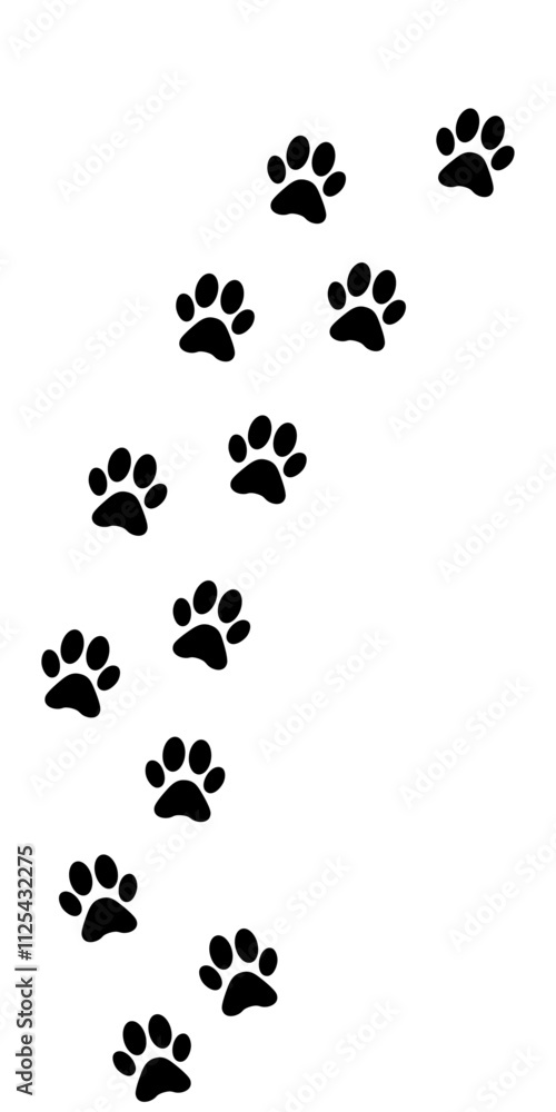 Fototapeta premium Foot trail print of Dog. Dog walk foot print. Black cat Paw Prints. Black Paw print foot trail of animal on transparent background. Paw print of Cat isolated on transparent background