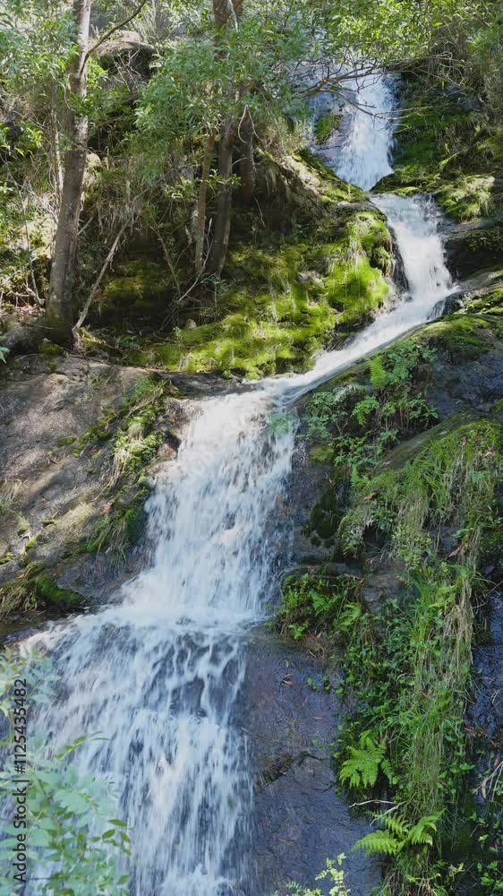 Small Waterfall flowing down granite rocks in lush forest Small Waterfall flowing down granite rocks in lush forest