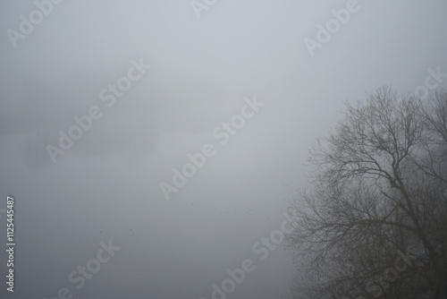 Cuadro en lienzo Foggy landscape