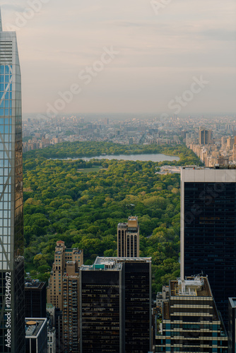 Aerial view showcasing the modern skyscrapers within New York City skyline