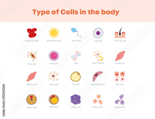 Type of cells in the body icons coloured