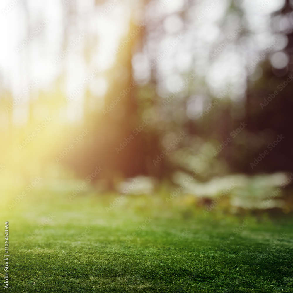 Naklejka premium Forest bokeh