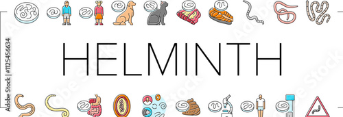 helminth worm parasite roundworm icons set vector. dog tapeworm, heart helminth ascaris, internal cat, nematode pet, pinworm giardia helminth worm parasite roundworm color line illustrations