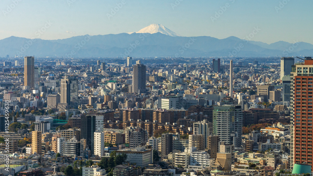 Fototapeta premium Tokyo Japan cityscape with Fuji in the background