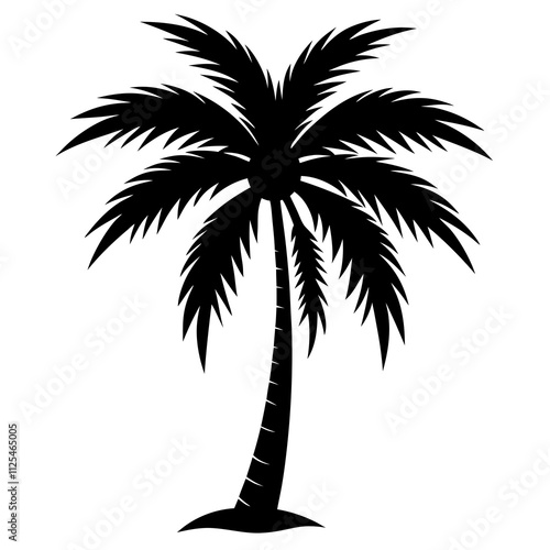 silhouette of palm tree