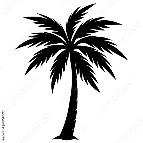 palm tree silhouette