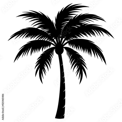 palm tree silhouette