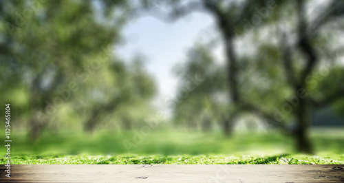 Park forest ecology background photo