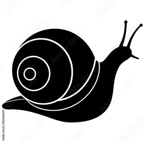 snail on a white background