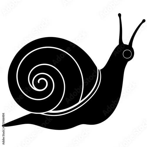 snail on a white background