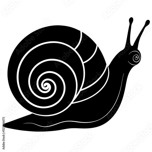 snail