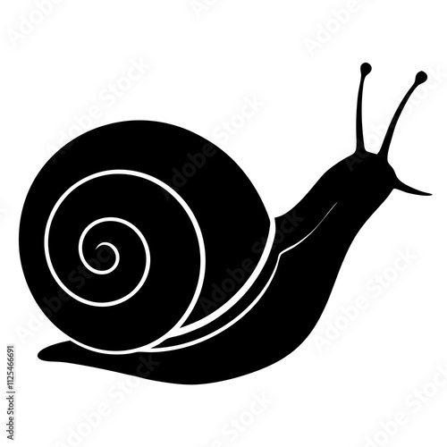 snail on white