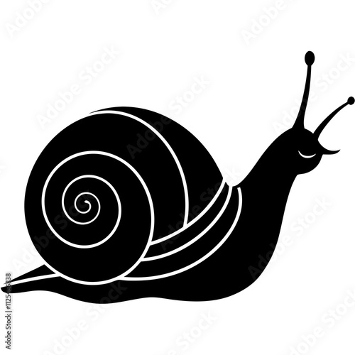 snail on a white background