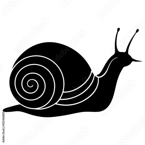 snail isolated on white background