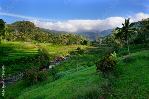 Lush Green Tropical Landscape with Rice Fields and Paddies near Moni and Kelimutu in Flores, Indonesia photo