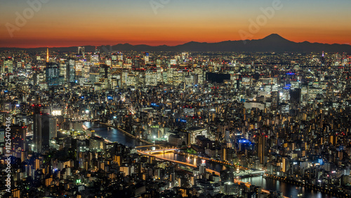 Tokyo Japan sunset with fuji and tower photo