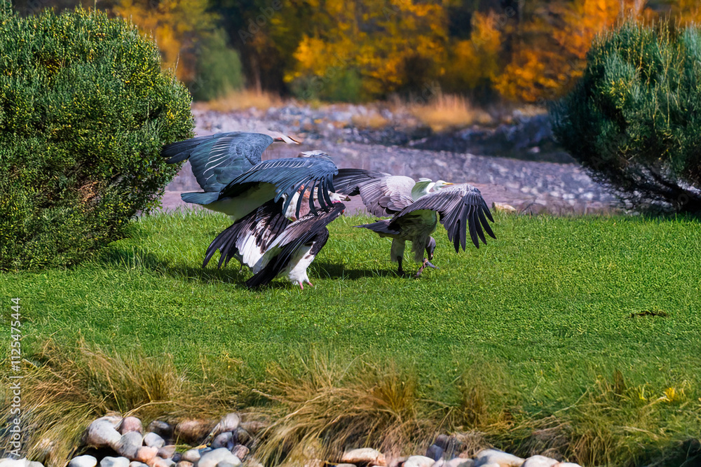 Fototapeta premium Generated image