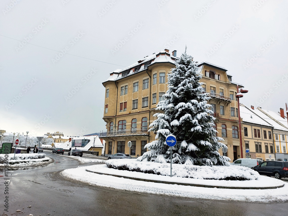 New Year Tree on Main square. Winter season in Maribor. Slovenia.