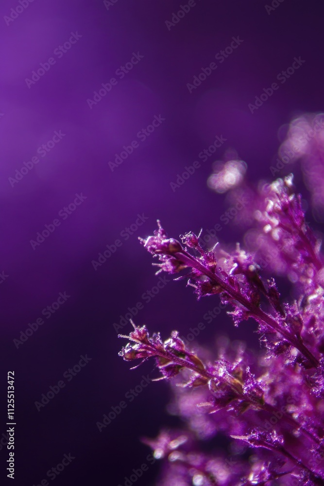 Fototapeta premium A detailed shot of a plant featuring purple flowers