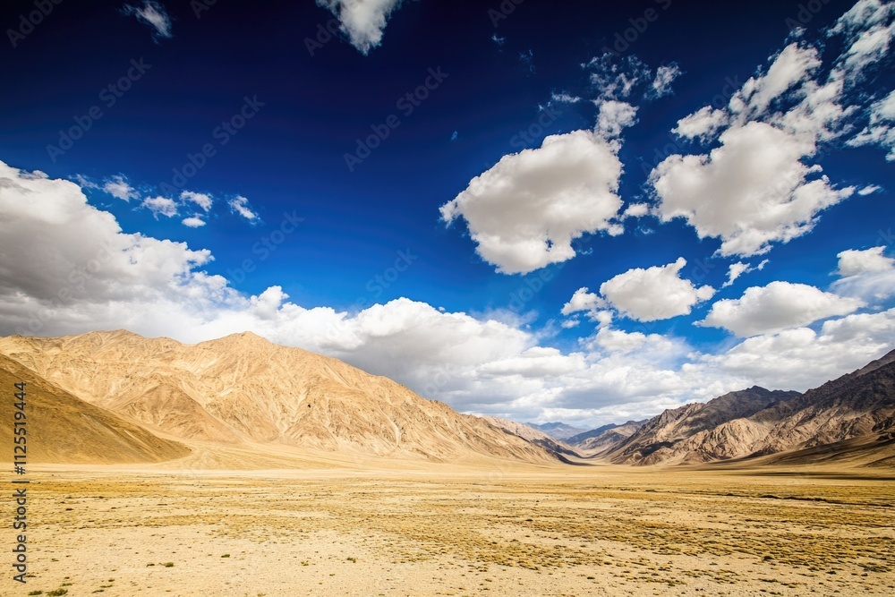 A single horse stands alone in the arid desert landscape A single horse stands alone in the arid desert landscape