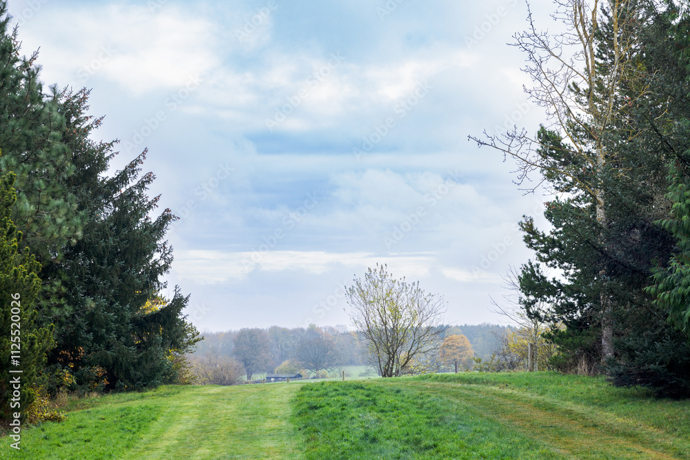 View from the hill to the distant forest on the hills. Autumn