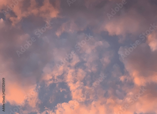 pink sky photo