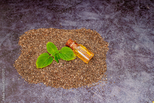 Obraz na płótnie Chia plant and chia seeds and oil are a flowering plant from the mint family native to central and southern Mexico. w salonie