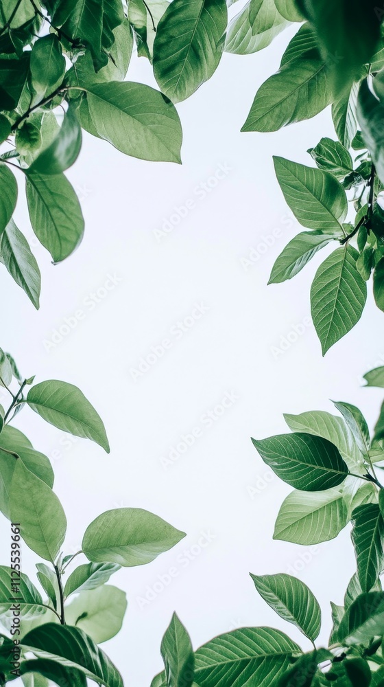 Nature's Lush Greenery: A Breathtaking Leaf Frame Nature's Lush Greenery: A Breathtaking Leaf Frame