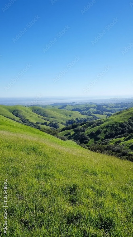 Breathtaking Green Hills and Valley View Breathtaking Green Hills and Valley View