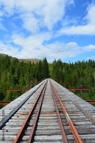 Train trestle in the woods photo