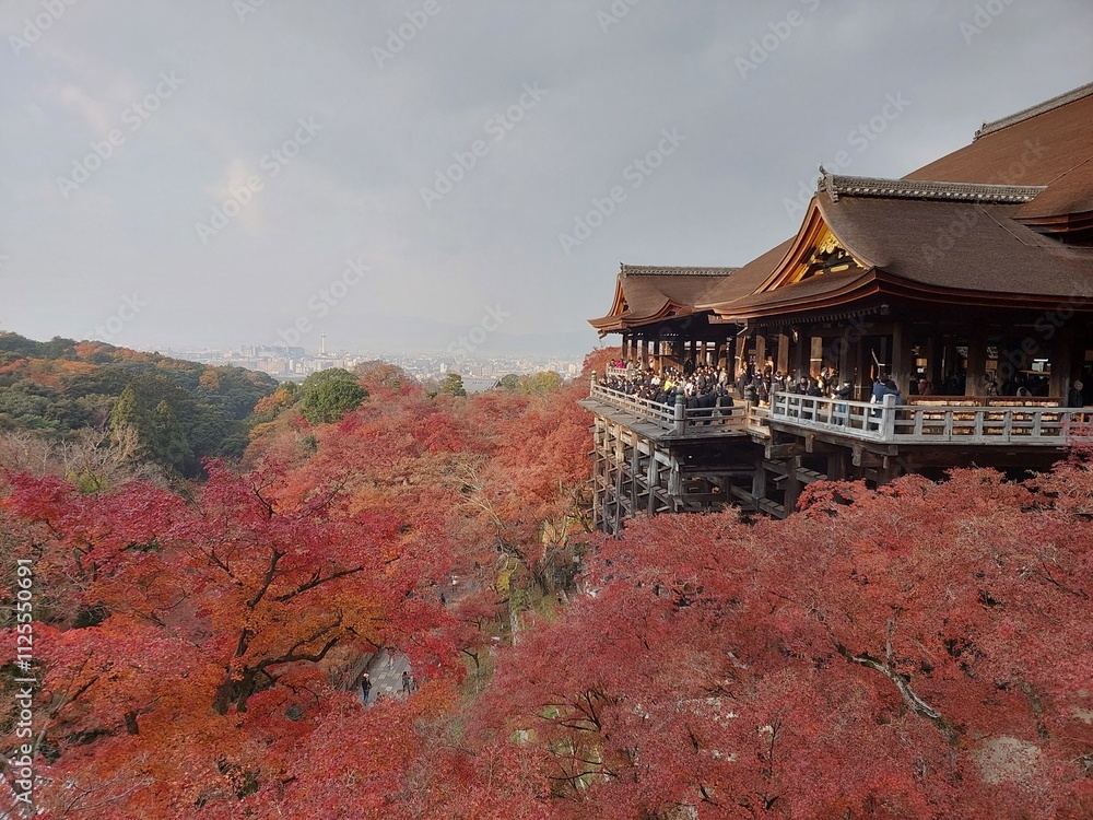 A scenic view of the Kiyomizu-dera temple in Kyoto, Japan, surrounded by vibrant red autumn foliage, overlooking a serene landscape under a partly cloudy sky. A scenic view of the Kiyomizu-dera temple in Kyoto, Japan, surrounded by vibrant red autumn foliage, overlooking a serene landscape under a partly cloudy sky.