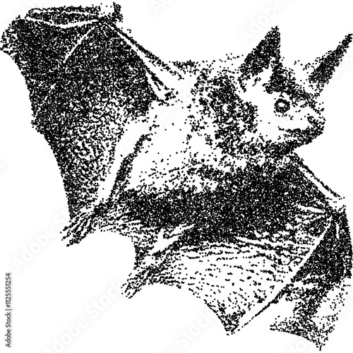 Bat, collage element with vintage stipple photocopy effect, with retro grainy texture. Vector illustration for grunge psychedelic surreal poster or tattoo in 90s aesthetic.