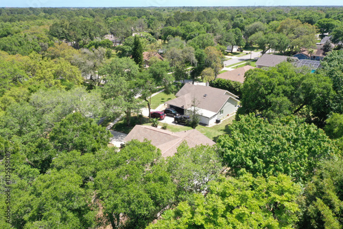 Aerial view of suburban middle class neighborhood homes nestled amongst trees, Port Orange, Florida, USA