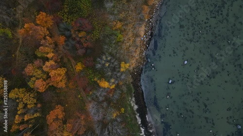 Aerial top down footage of shoreline of Paljassaare Peninsula in Tallinn, Estonia. On the left a dense forest in autumn colors. On the right a rocky shoreline leading to clear waters. Soft colors. photo