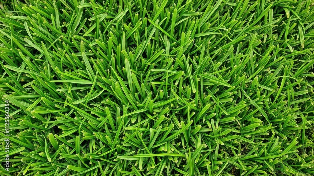 Vibrant and lifelike artificial grass background, realistic, landscape Vibrant and lifelike artificial grass background, realistic, landscape