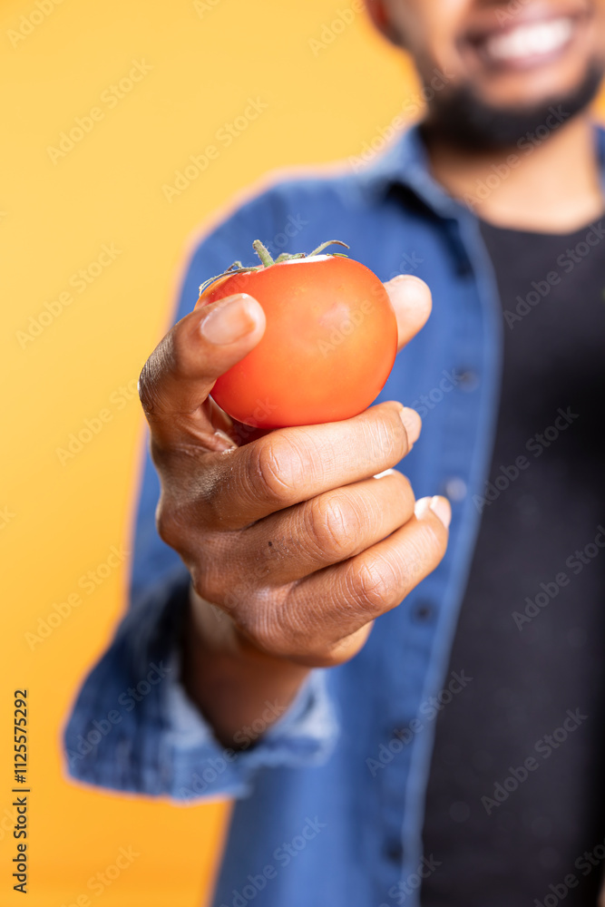 African american model shows an organic fresh tomato in front of the camera, advertising an ethically sourced veggie from the local farmers market. Person supports zero waste concept. Close up. African american model shows an organic fresh tomato in front of the camera, advertising an ethically sourced veggie from the local farmers market. Person supports zero waste concept. Close up.