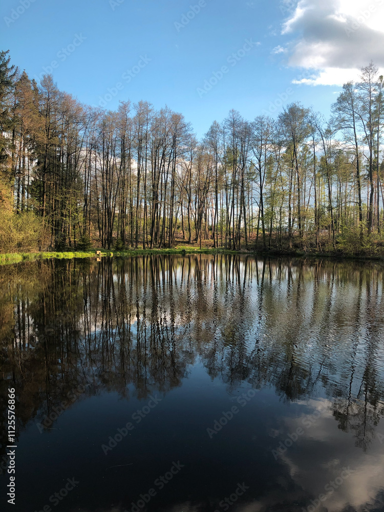 Still Water Reflection of Forest Trees Still Water Reflection of Forest Trees