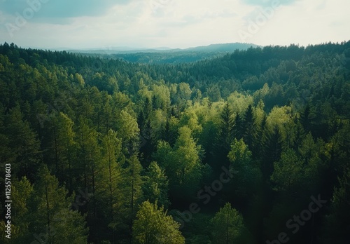 Lush Green Forest Landscape Captured from Above, Showcasing Dense Trees, Rolling Hills, and Natural Beauty Under a Partly Cloudy Sky, Perfect for Nature Lovers and Outdoor Enthusiasts