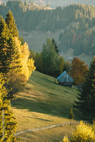 A small mountain house is isolated in a forest of yellow larches, Romania, during a sunset