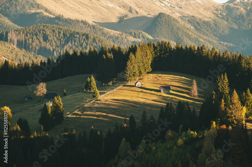 beautiful autumn afternoon in mountains. wonderful countryside of romania on a sunny weather in evening