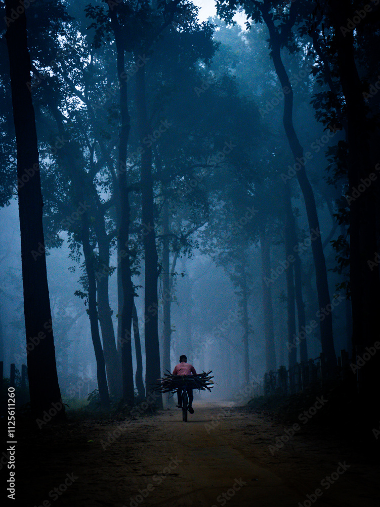 Echoes of Serenity in the Fog Echoes of Serenity in the Fog