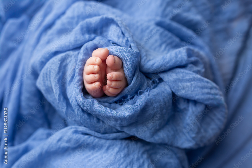 Fototapeta premium feet of a newborn baby. legs on a blue background. baby feet